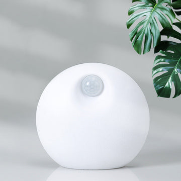 Smart Pet Deodorizer | Everyday Home Deal