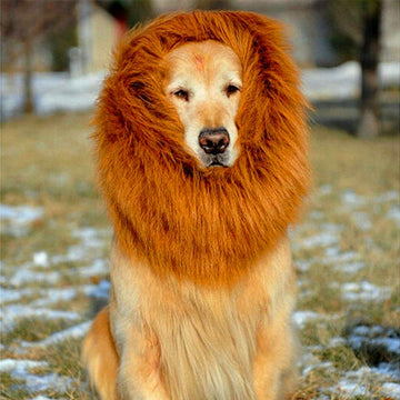 Lion Mane Wig | Everyday Home Deal