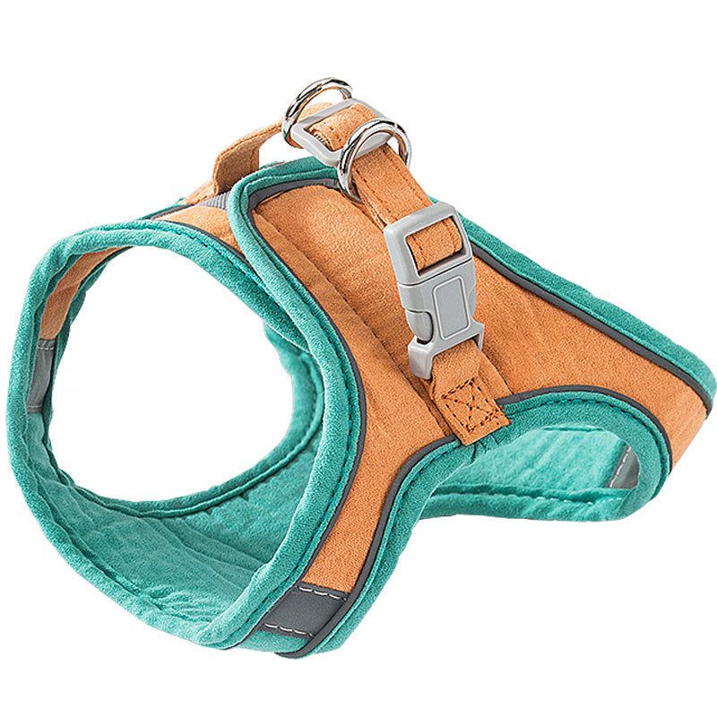 Cat Strap | Everyday Home Deal