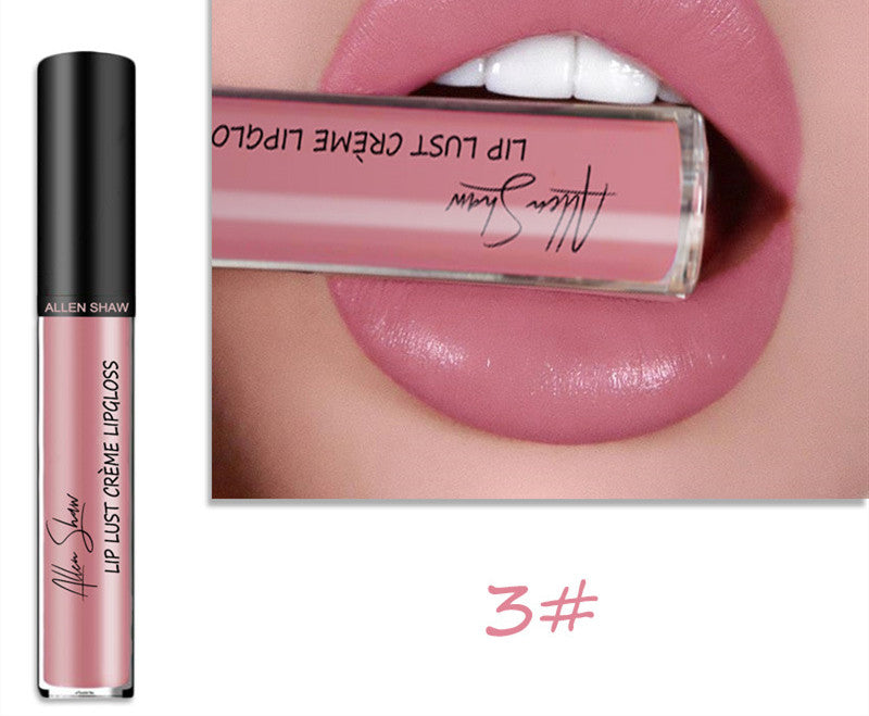 Silky Cream Texture Lip Gloss Aliexpress Shopee Cross-Border Exclusive Lip Glaze Lip Gloss Lipstick | Everyday Home Deal