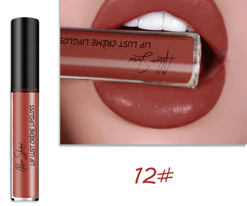 Silky Cream Texture Lip Gloss Aliexpress Shopee Cross-Border Exclusive Lip Glaze Lip Gloss Lipstick | Everyday Home Deal