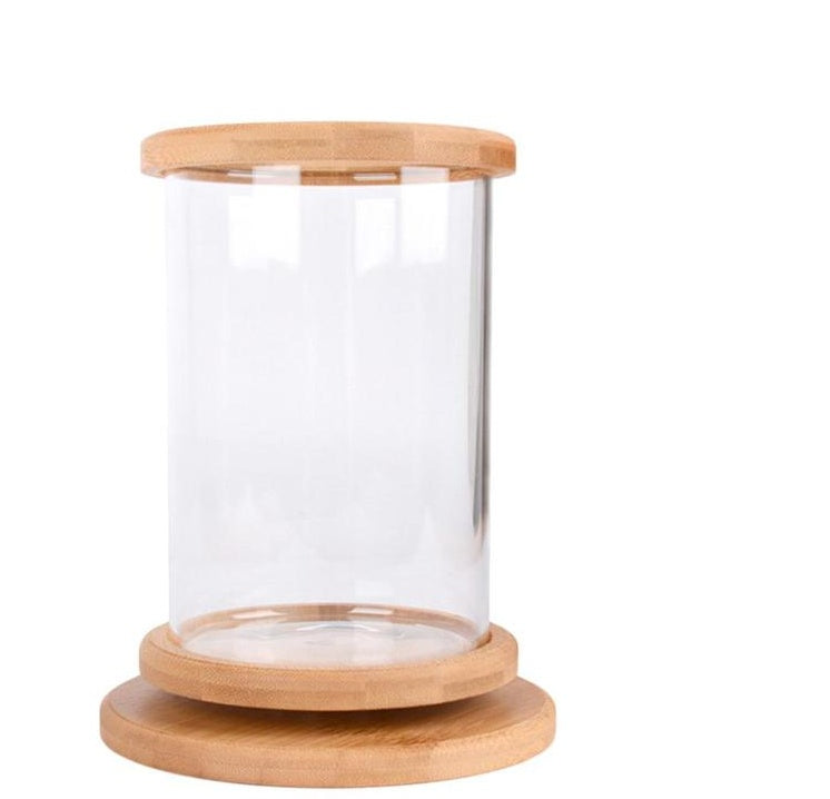 Mini Fish Tank | Everyday Home Deal
