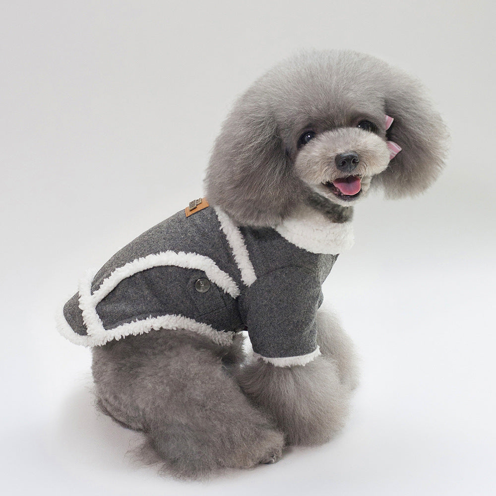 Dog Winter Jacket | Everyday Home Deal