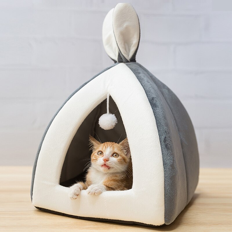 Pet Waterloo | Everyday Home Deal