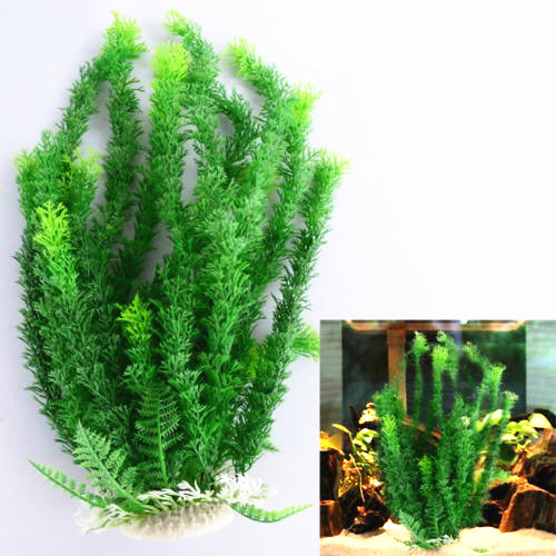 Aquarium Plant | Everyday Home Deal
