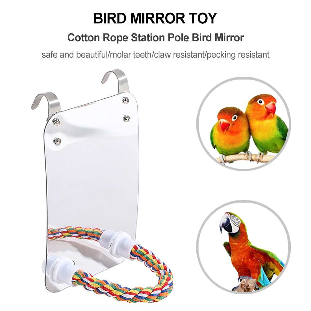 Parrot Toy Acrylic Bird With Mirror | Everyday Home Deal