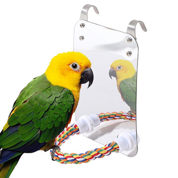 Parrot Toy Acrylic Bird With Mirror | Everyday Home Deal