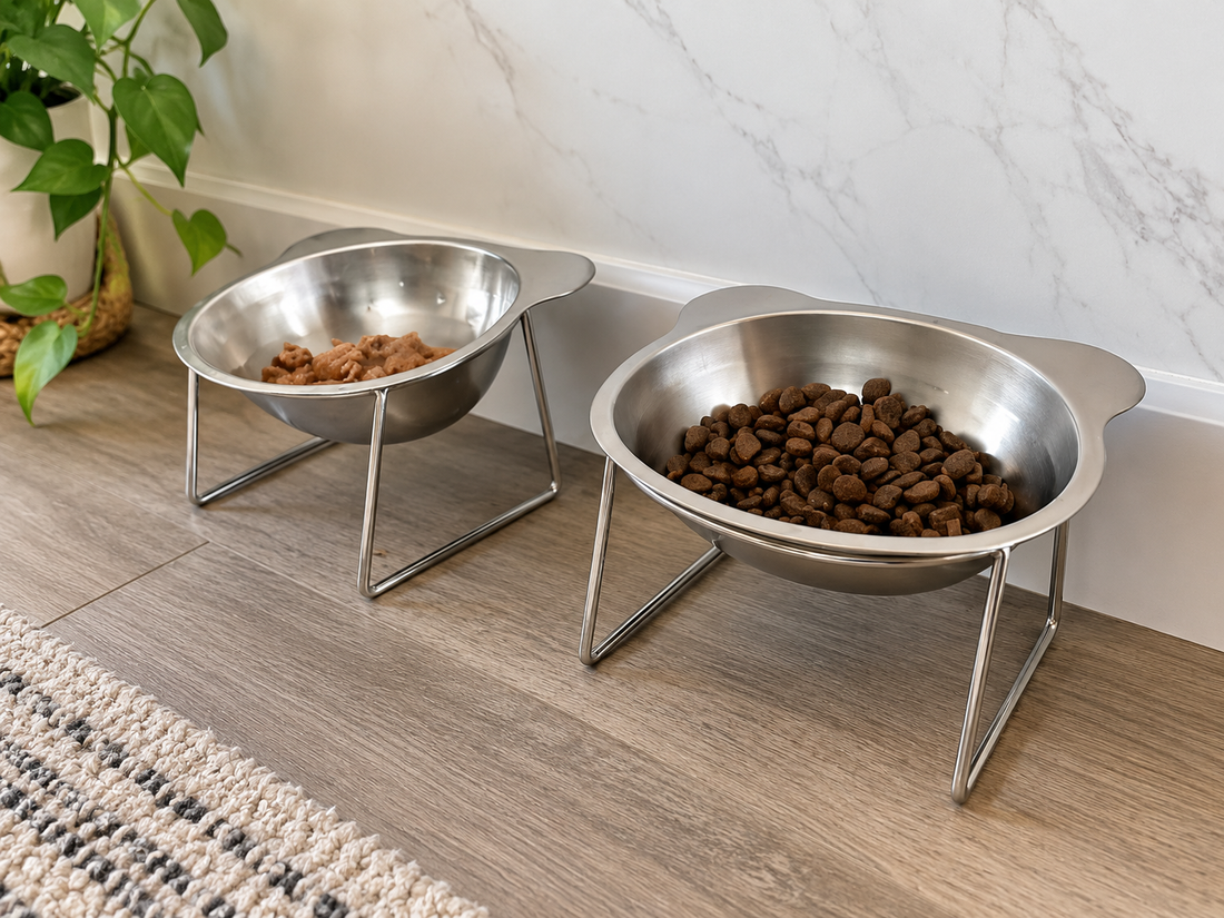 Elevated Pet Feeding Bowl — Buy 1, Get 1 Free (2 elevated bowls for $34.99 — just $17.50 each | Free Shipping) -Limited time offer!!