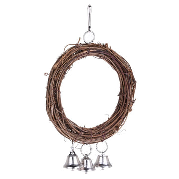 Parrot swing | Everyday Home Deal