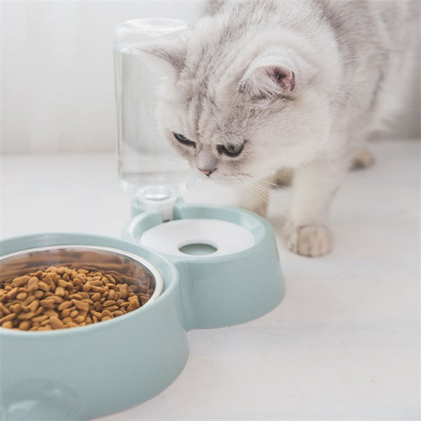 Dog bowl | Everyday Home Deal