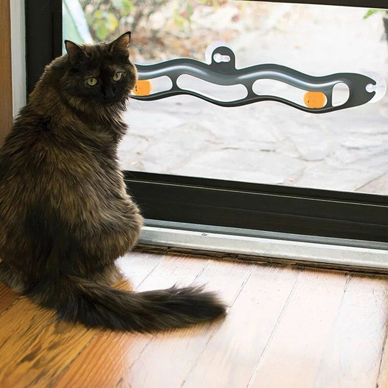 Windowsill Pets Toy Cat Track Ball Pet Products | Everyday Home Deal