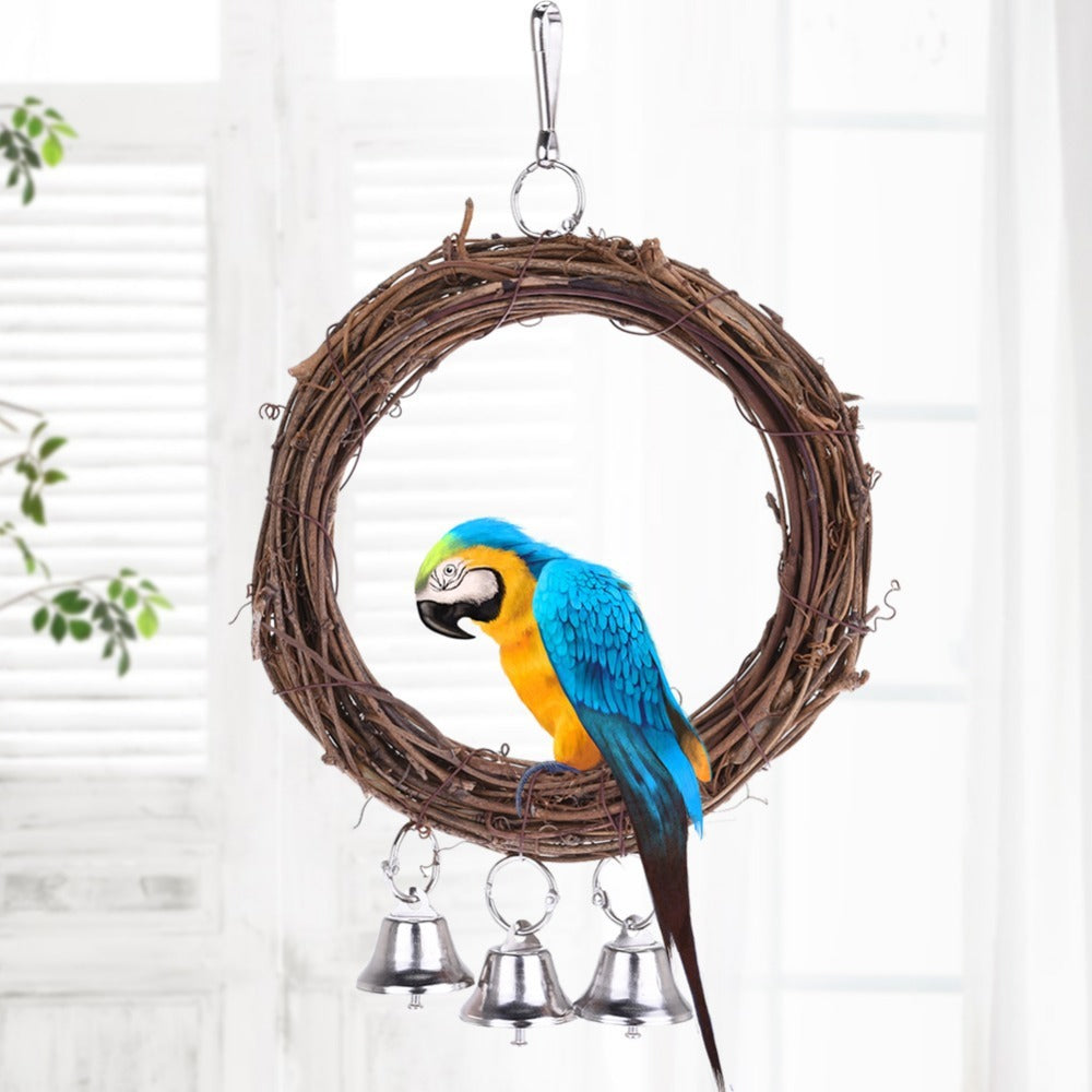 Parrot swing | Everyday Home Deal
