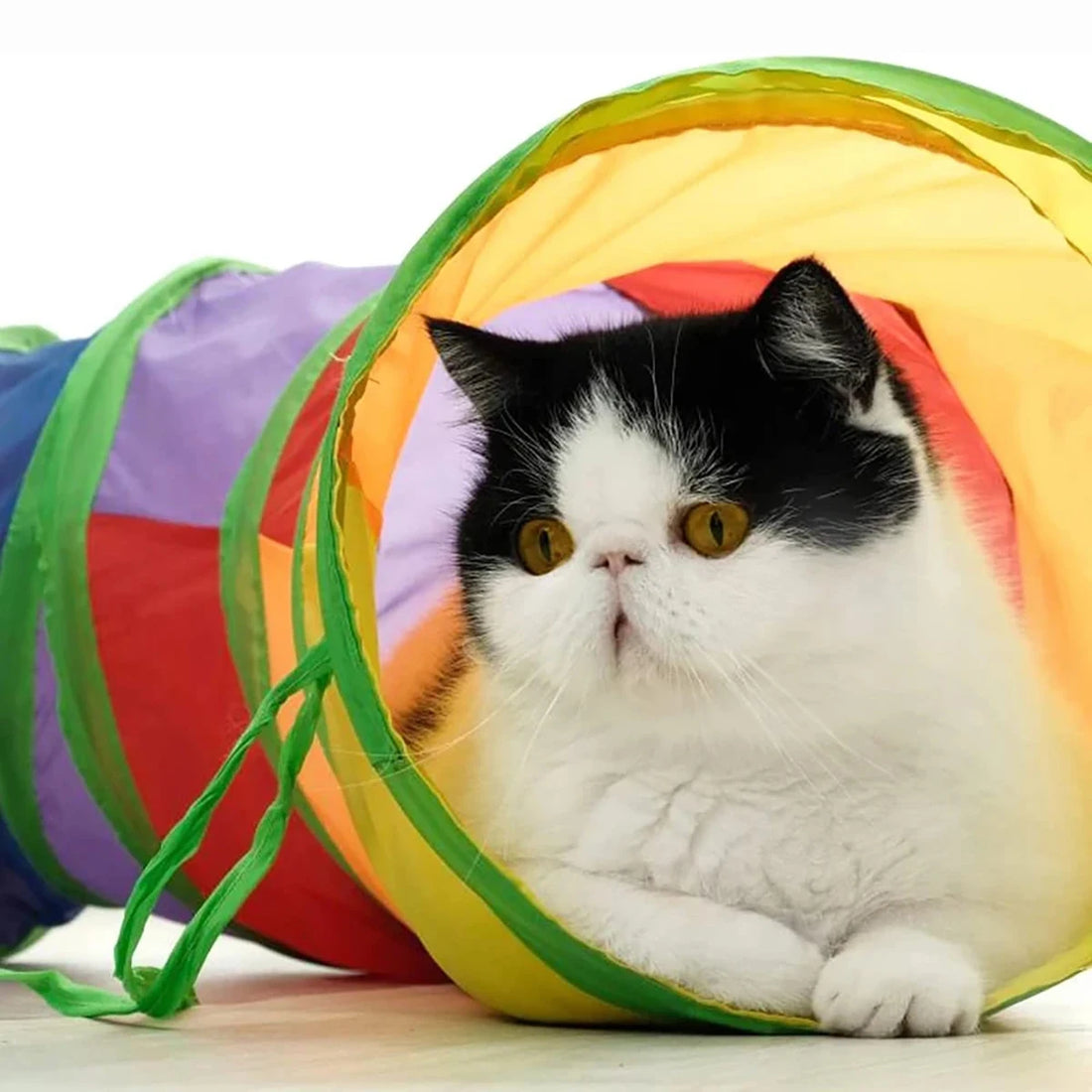 Collapsible Cat Tunnel – Crinkle Play Tube with Dangling Ball Toy