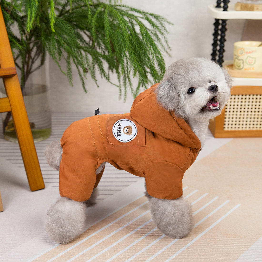 Dog Fashion Clothing | Everyday Home Deal