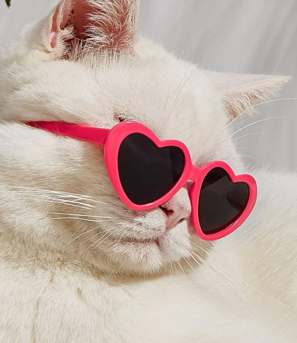 Doll Sunglasses | Everyday Home Deal