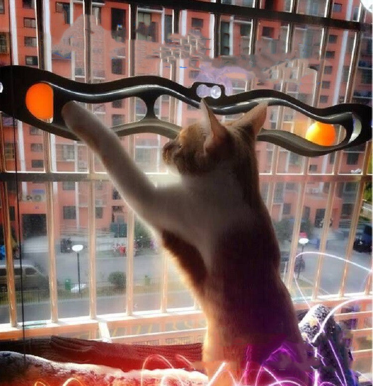 Windowsill Pets Toy Cat Track Ball Pet Products | Everyday Home Deal