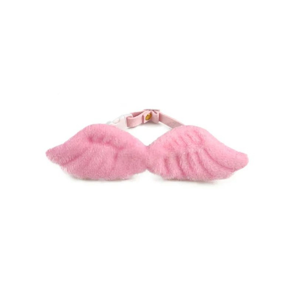 Pet Angel Wings | Everyday Home Deal