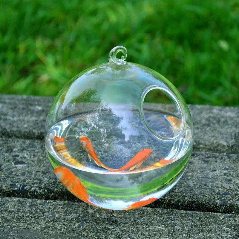 Hanging Glass Vase Fish Tank | Everyday Home Deal