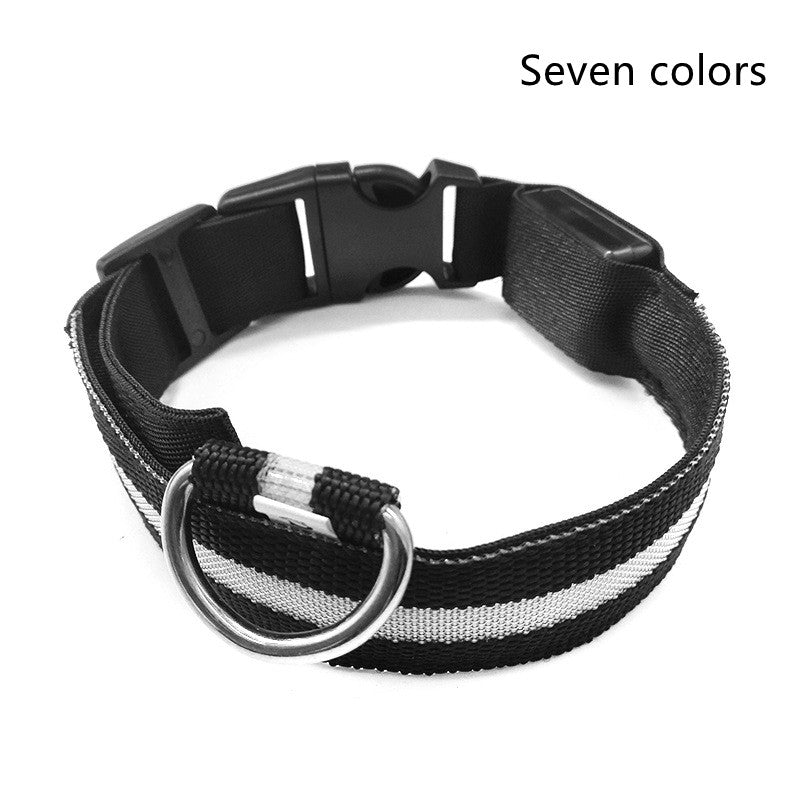 LED Dog Collar | Everyday Home Deal