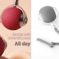 Electric Cat Toy Automatic Cat Ball Self-entertainment Rolling Ball
