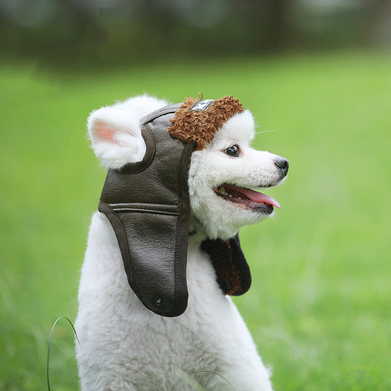Dog Leather Cap | Everyday Home Deal