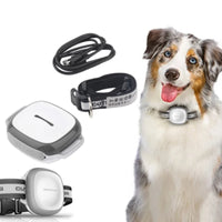 Collared Pet Tracker - Best Premium Deal | Everyday Home Deal