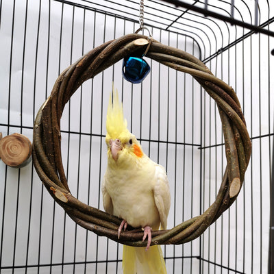 Bird Standing Frame - Premium Best Toy Deal | Everyday Home Deal