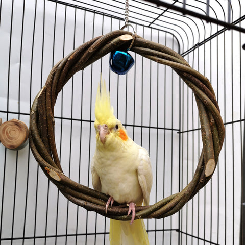 Bird Standing Frame - Premium Best Toy Deal | Everyday Home Deal