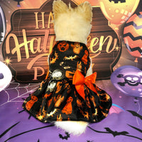 Halloween Pet Dress - Best Premium Clothing Deal | Everyday Home Deal