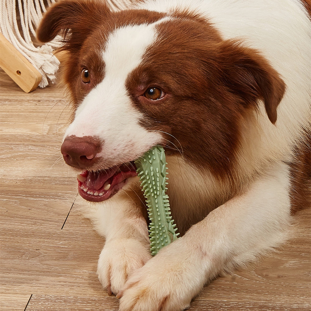 Dog Chew Toys - Best Premium Pet Deal | Everyday Home Deal