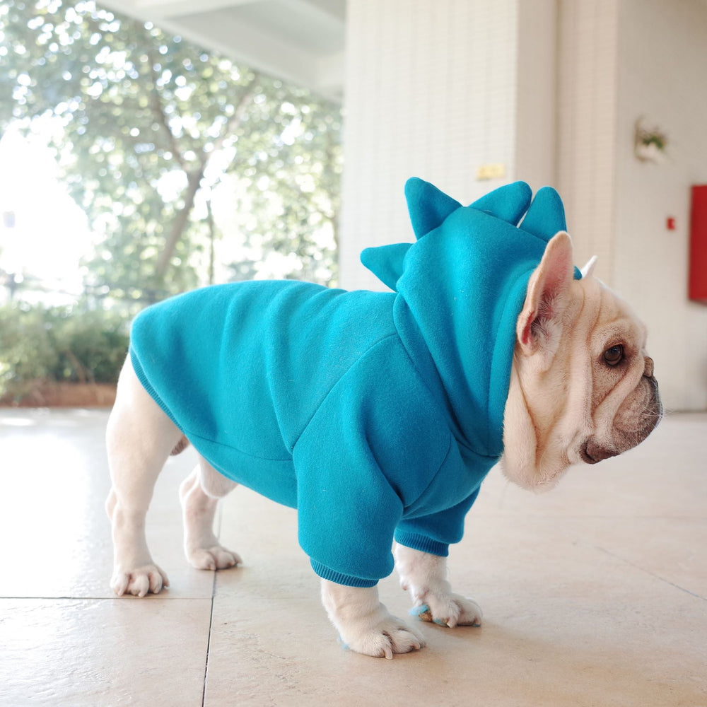 Pet Apparel Hoodie | Everyday Home Deal