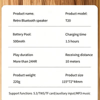Mini Portable Karaoke Machine With Wireless Microphones