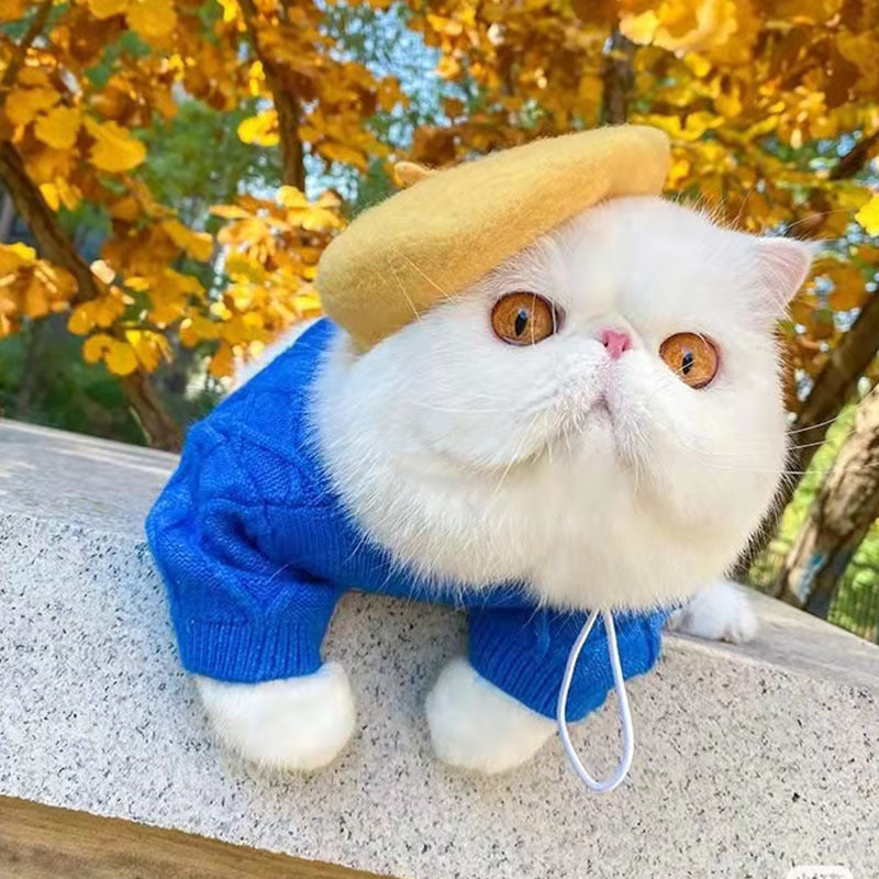 Pet Hat | Everyday Home Deal