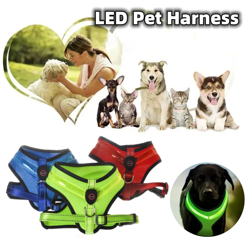 LED Dog Harness | Everyday Home Deal