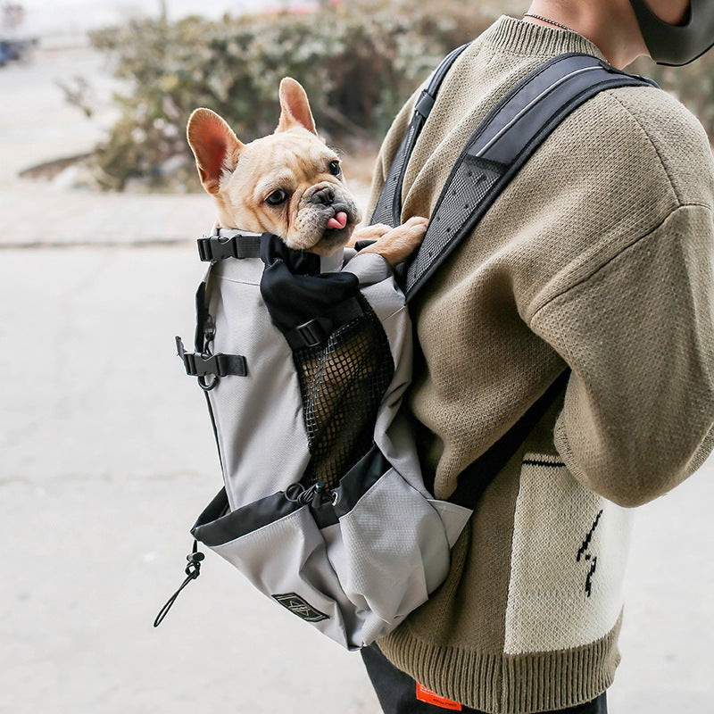 Pet Dog Carrier - Best Premium Travel Deal | Everyday Home Deal