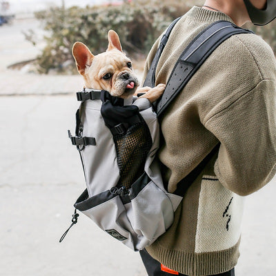 Pet Dog Carrier - Best Premium Travel Deal | Everyday Home Deal