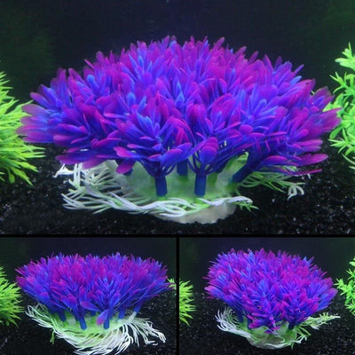 Fish Tank Accessories - Premium Best Decor Deal | Everyday Home Deal