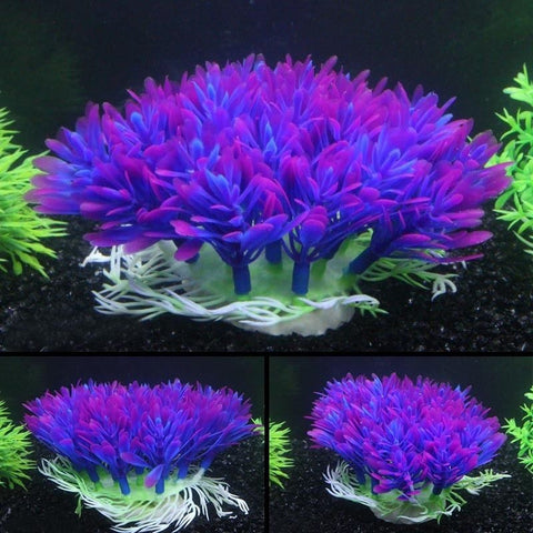 Fish Tank Accessories - Premium Best Decor Deal | Everyday Home Deal