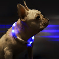 Pet Light Collar Anti-Lost Collar for Dogs Pet Collars