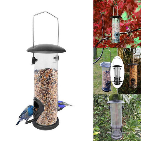 Bird Feeder - Best Bird Care Deal | Everyday Home Deal