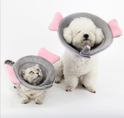 Pet Protection Collar | Everyday Home Deal