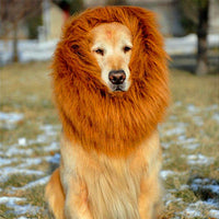 Lion Mane Wig - Premium Best Pet Deal | Everyday Home Deal