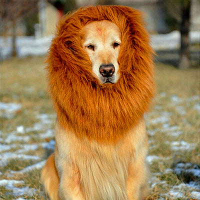 Lion Mane Wig - Premium Best Pet Deal | Everyday Home Deal