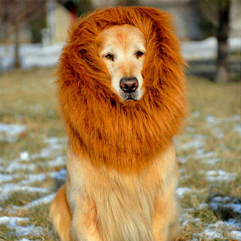 Lion Mane Wig - Premium Best Pet Deal | Everyday Home Deal