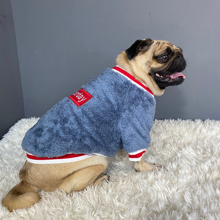 Pet Sweater | Everyday Home Deal