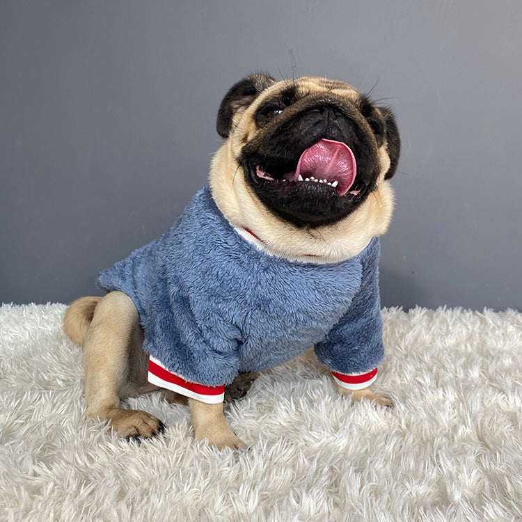 Pet Sweater | Everyday Home Deal