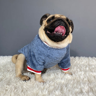 Pet Sweater - Best Premium Clothing Deal | Everyday Home Deal