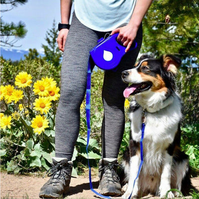 Multifunctional Pet Leash | Everyday Home Deal