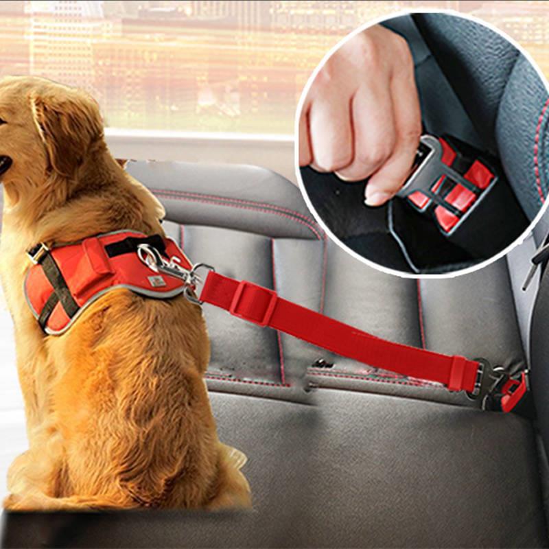 Dog Leash - Best Premium Pet Deal | Everyday Home Deal
