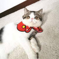 Pet collar